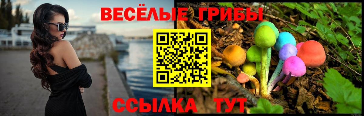 как найти закладки  Псилоцибиновые грибы мухоморы  Галлюциногенные грибы прущие грибы  Вход с VPN  Воркута 